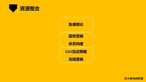 北大微電商聯(lián)盟 移動互聯(lián)時代的企業(yè)IP與品牌營銷新范式